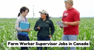 Farm Workers Supervisor Jobs in Canada