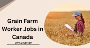 Grain Farm Worker Jobs in Canada